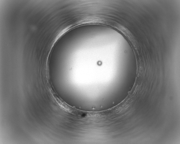 X0000056031242200509092157