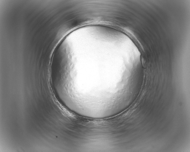 X0000056031244200509092157