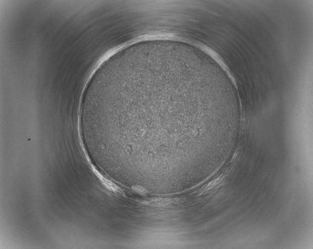 X0000056031245200509092157