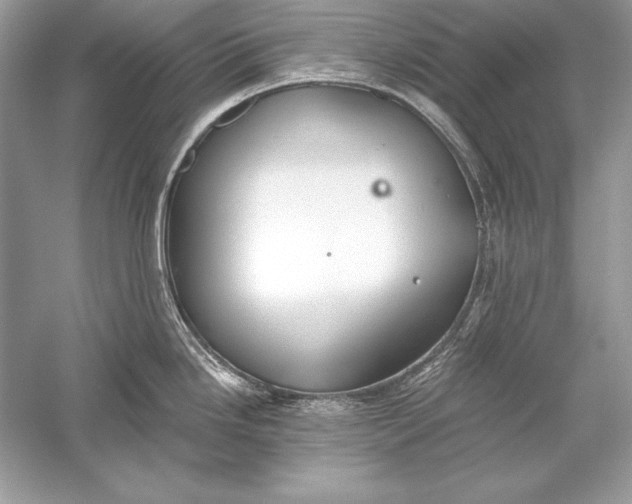 X0000056031246200509092157