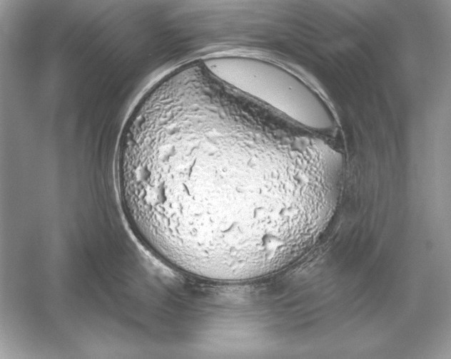 X0000056031247200509092157