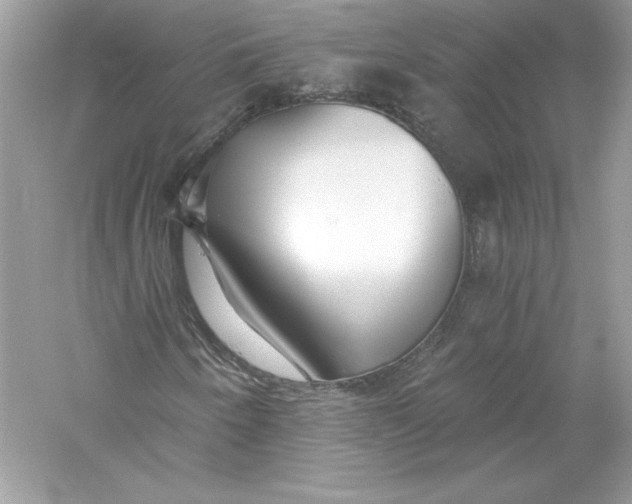 X0000056031250200509092156