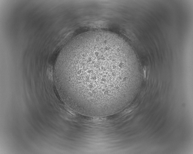 X0000056031251200509092156