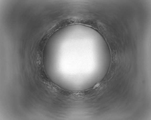 X0000056031253200509092156