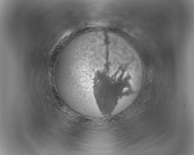 X0000056031254200509092156