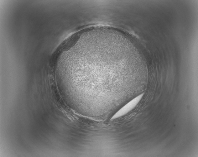 X0000056031255200509092156