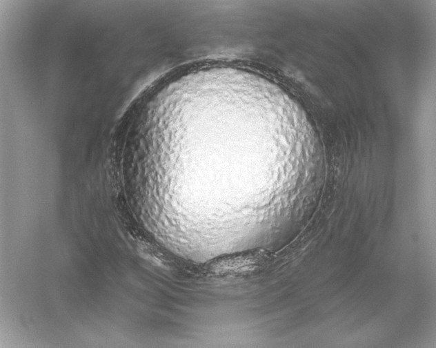 X0000056031256200509092156