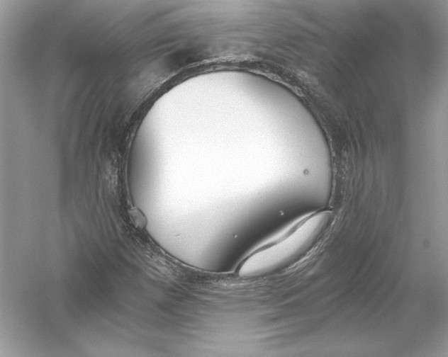 X0000056031257200509092156