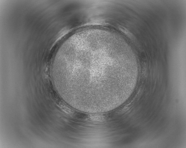 X0000056031258200509092156