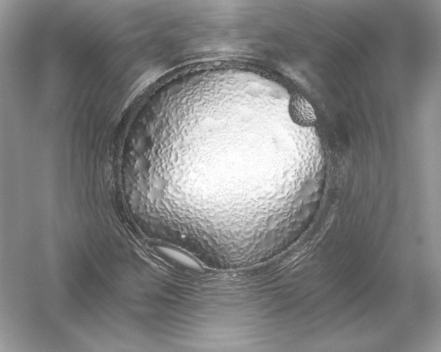 X0000056031259200509092156