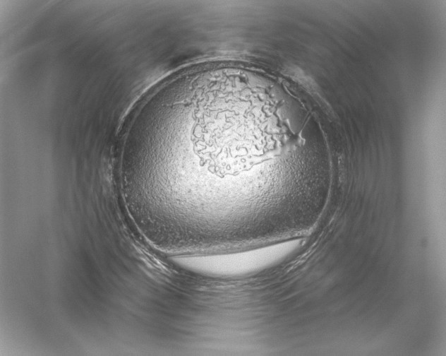 X0000056031260200509092156