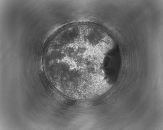 X0000056031262200509092156