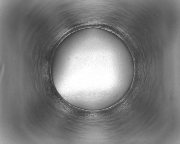 X0000056031265200509092156