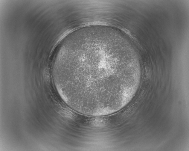 X0000056031266200509092156