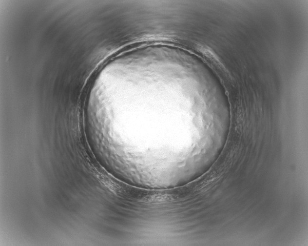 X0000056031268200509092156