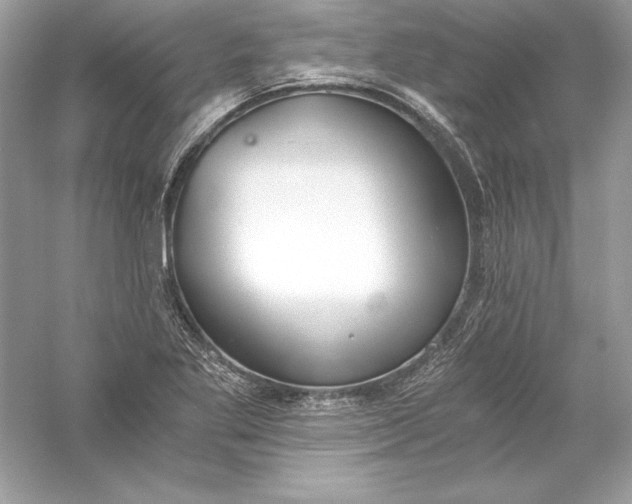 X0000056031269200509092156