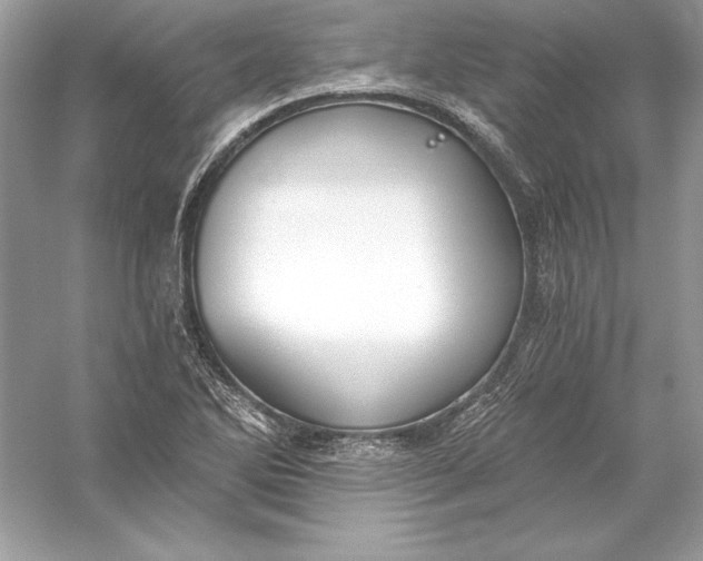 X0000056031270200509092156