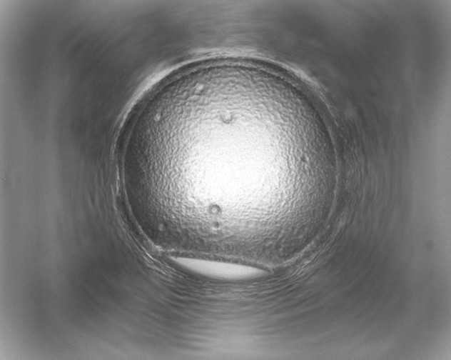 X0000056031271200509092156