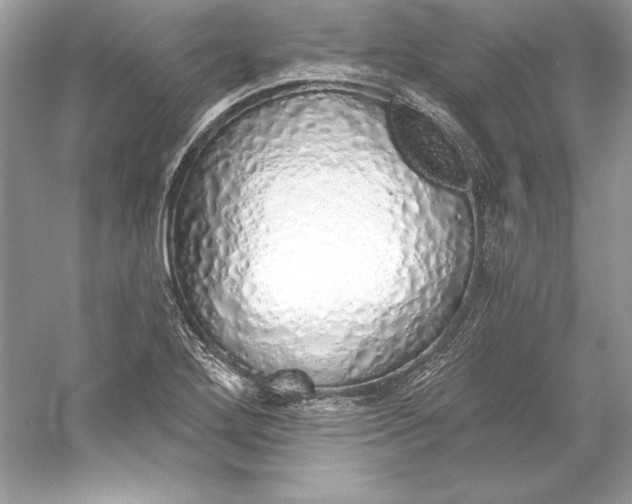 X0000056031272200509092156