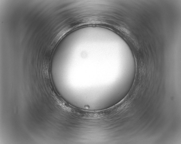 X0000056031273200509092155