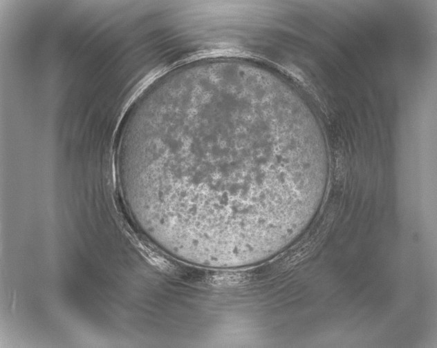 X0000056031274200509092155