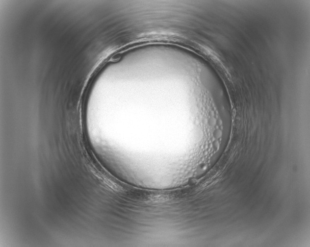 X0000056031275200509092155