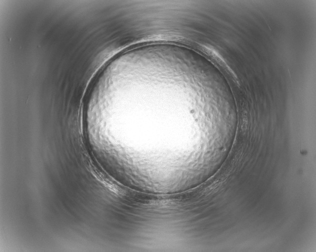 X0000056031276200509092155