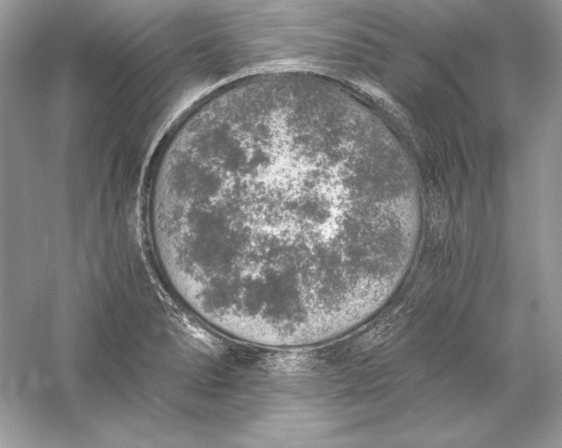 X0000056031278200509092155