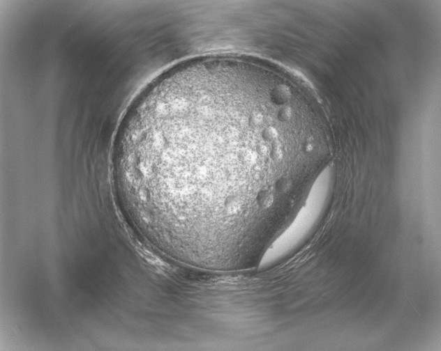 X0000056031279200509092155