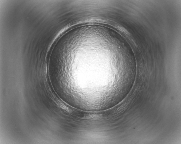 X0000056031280200509092155