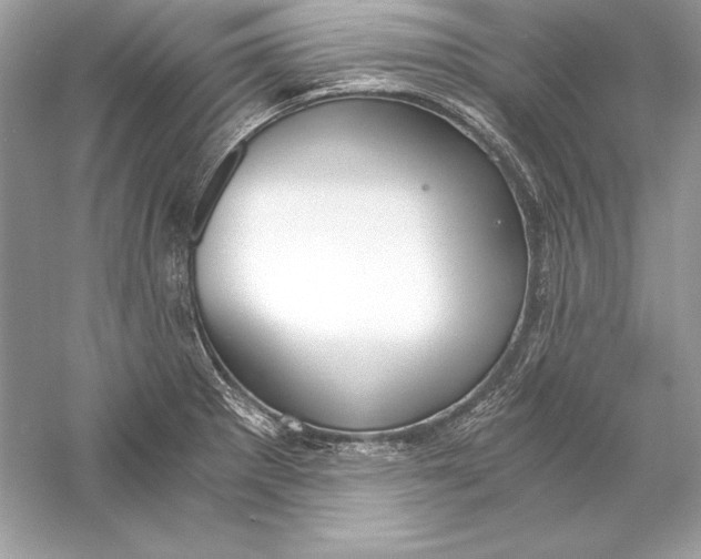 X0000056031281200509092155