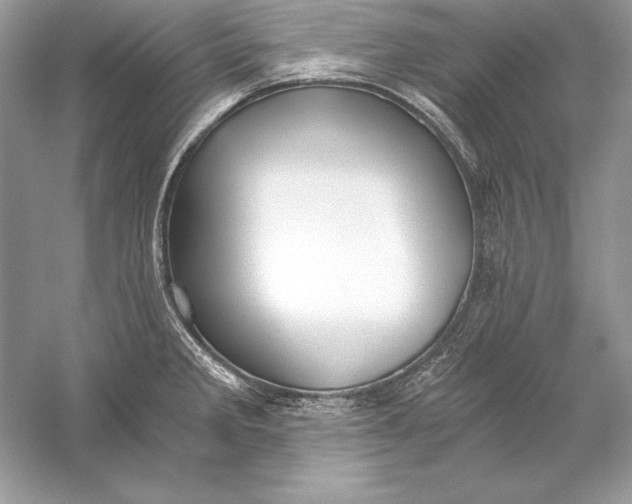 X0000056031285200509092155