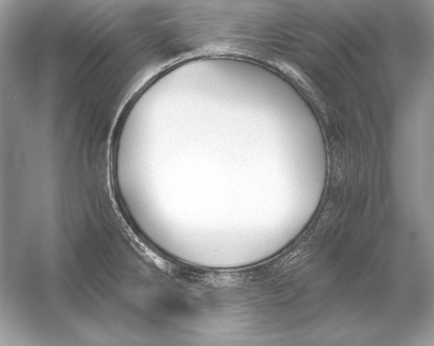 X0000056031286200509092155