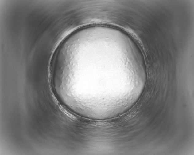 X0000056031287200509092155