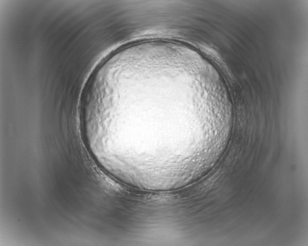 X0000056031288200509092155