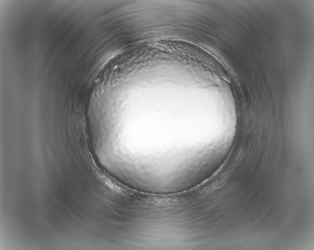 X0000056031289200509092155