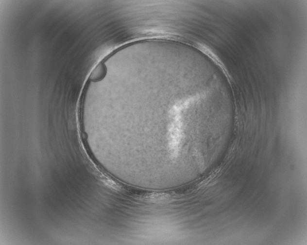 X0000056031291200509092155