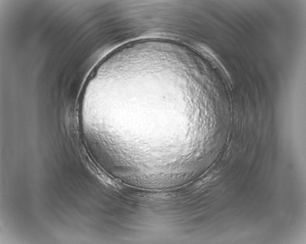 X0000056031292200509092155