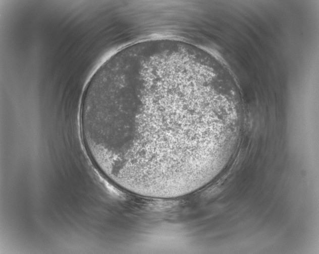 X0000056031294200509092155