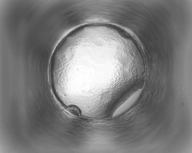 X0000056031295200509092155