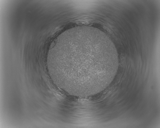 X0000056031297200509092154