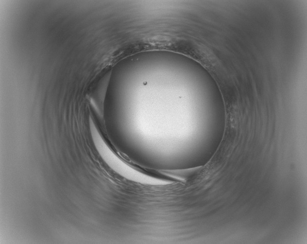 X0000056031298200509092154