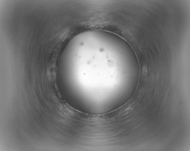 X0000056031300200509092154