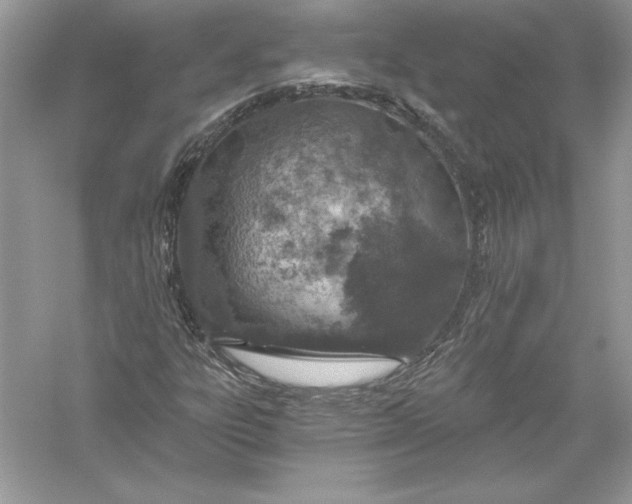 X0000056031303200509092154