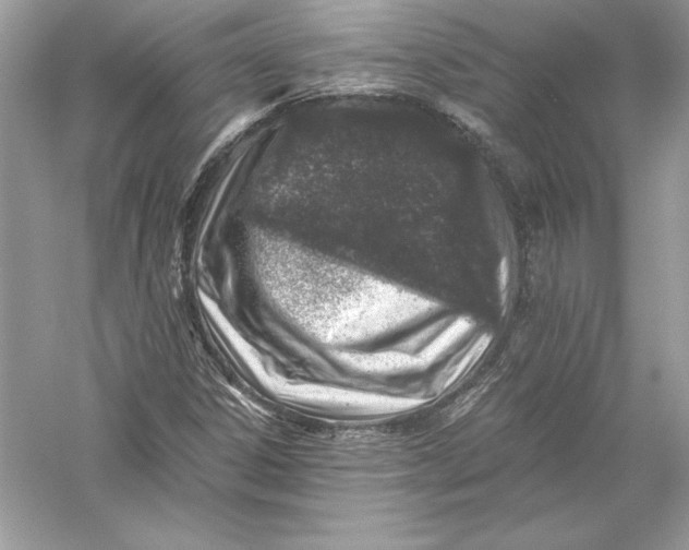 X0000056031306200509092154