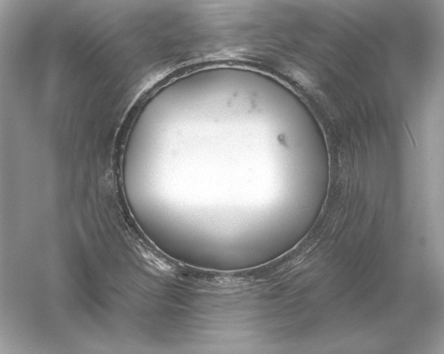 X0000056031308200509092154