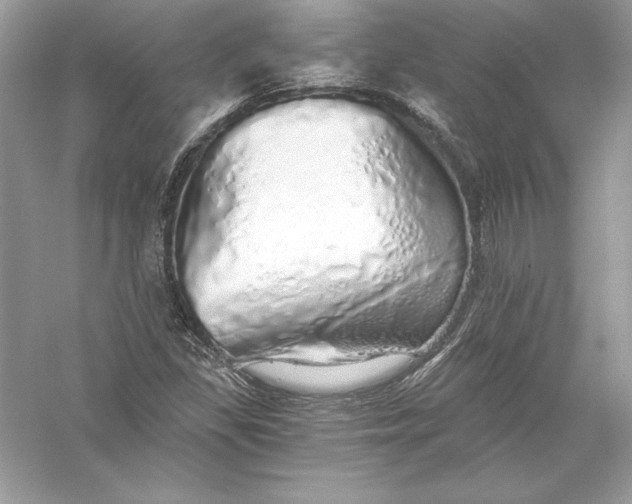 X0000056031309200509092155