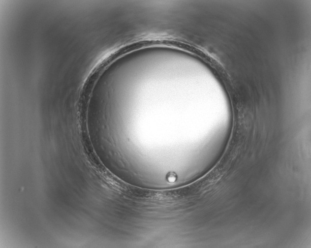 X0000056031311200509092155