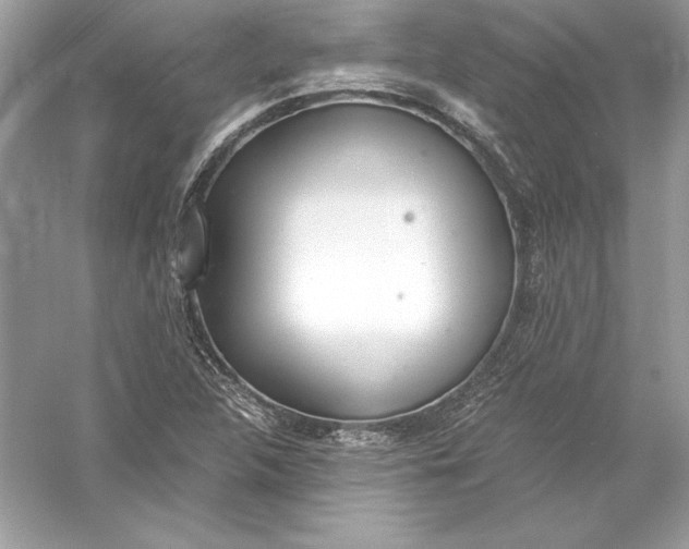 X0000056031312200509092155