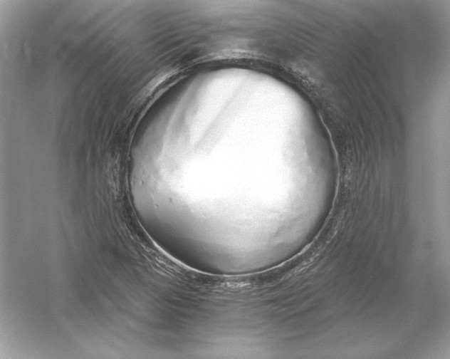 X0000056031313200509092155